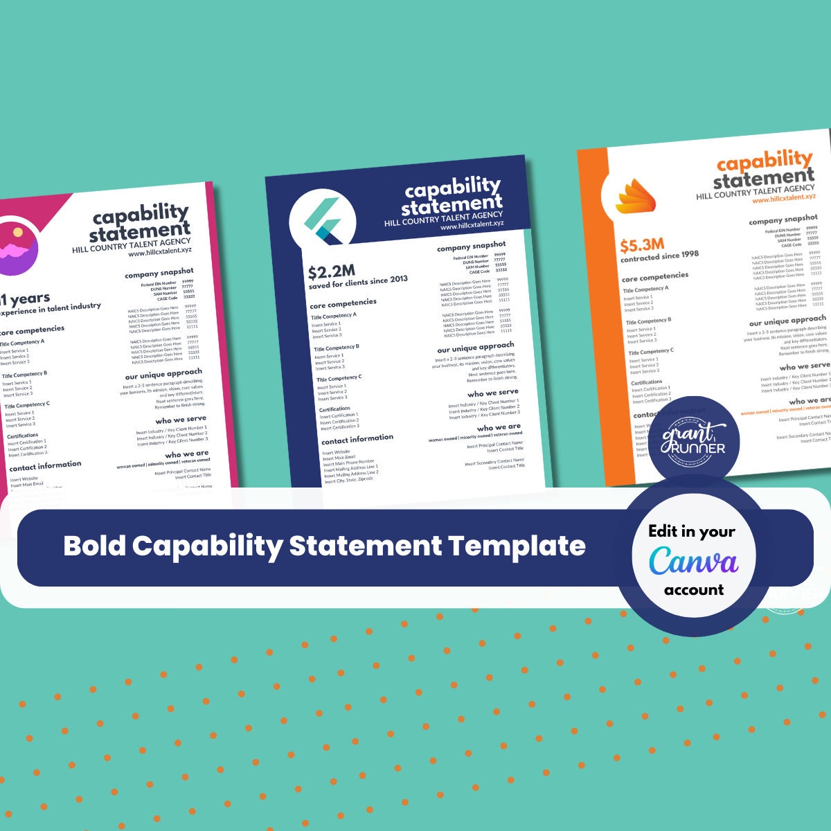 Capability Form Consulting Intake Form | Bold Capability Statement Template ...