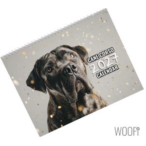 Könnte beinhalten: Ein spiralgebundener Wandkalender mit dem Porträt eines gestromten Cane Corso Hundes auf dem Deckblatt. Der Text lautet Cane Corso 2027 Calendar. Der Hintergrund ist hellgrau und mit goldenen, konfettiartigen Punkten über das Design verteilt.