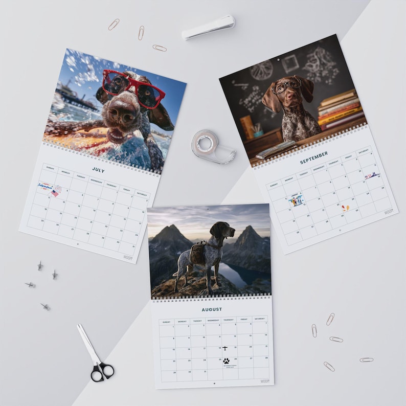 May include: Three wall calendar pages for July, August, and September featuring German Shorthaired Pointer dogs. July shows a dog in red glasses, August shows a dog in a mountain landscape, and September shows a dog with glasses at a desk.