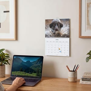 May include: A wall calendar for the month of April featuring a photograph of a brown and white spotted dog running through water. The calendar has a white grid with black text and a spiral binding at the top, hanging on a light-colored wall.