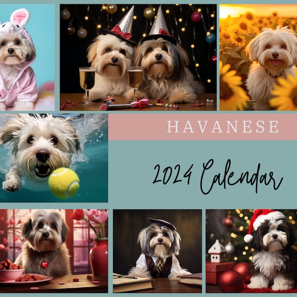 Havanese Calendar Etsy