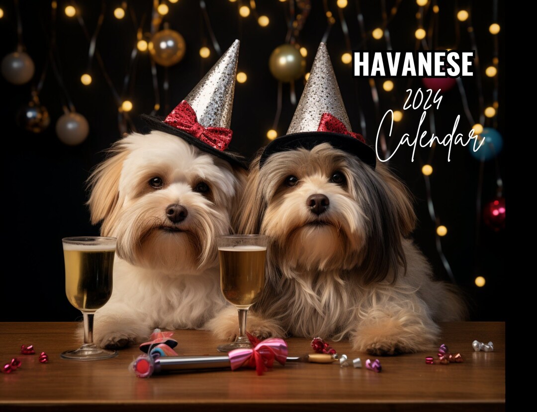 Havanese Calendar 2024 Havanese Wall Calendar Gift 12 Month Etsy Canada