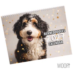 Bernedoodle-hondenkalender 2027: opties voor desktop- en wandkalender, ondersteunt schuilplaatsen