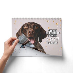 May include: A 2027 wall calendar featuring a German Shorthaired Pointer dog with brown fur and a spotted chest. The cover displays the text German Shorthaired Pointer 2027 Calendar against a light background with gold confetti accents and a spiral binding.
