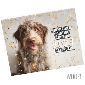 Calendario 2027 del cane Griffone a pelo duro: opzioni di calendario da tavolo e da parete, supporta i rifugi