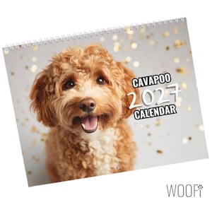 Cavapoo hundkalender 2027: Skrivbords- och väggkalenderalternativ, stöder djurhem