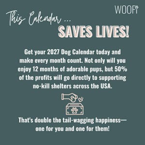 May include: A dark teal informational graphic for a 2027 dog calendar. The text reads: This Calendar... SAVES LIVES! Get your 2027 Dog Calendar today and make every month count. 50% of profits support no-kill shelters. Includes a donation icon.