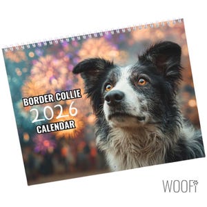 Baker And Bray Border Collie Calendar 2026, Large Square Wall Calendar