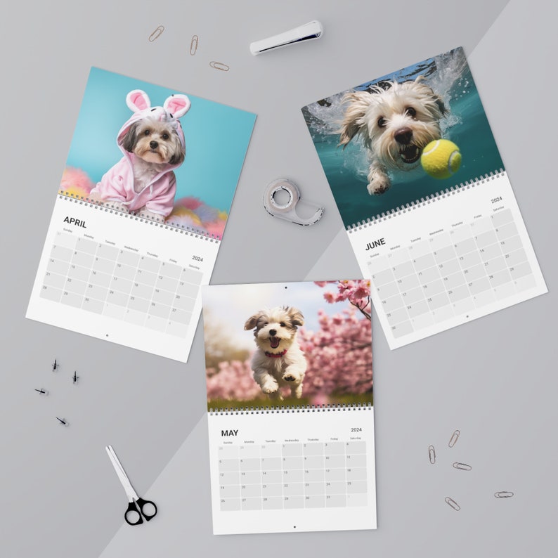 Havanese Calendar 2024 Havanese Wall Calendar Gift 12 Month Etsy Portugal
