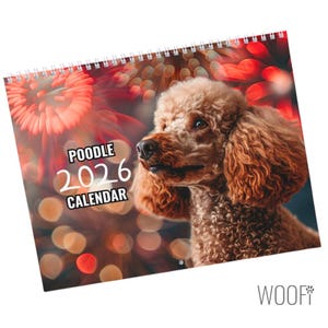 Poodle Dog Calendar 2026 : Desktop and Wall Calendar options, Supports Shelters