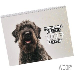 Bouvier des Flandres 2027 Wall Calendar | Dog Breed Lover Gift, Desk Calendar Option | Shelter Fundraiser