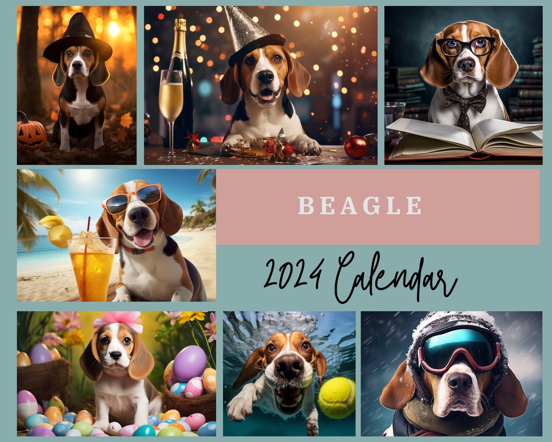 Beagle Calendar 2025 Beagle Gifts Beagle Wall Calendar 12 Etsy