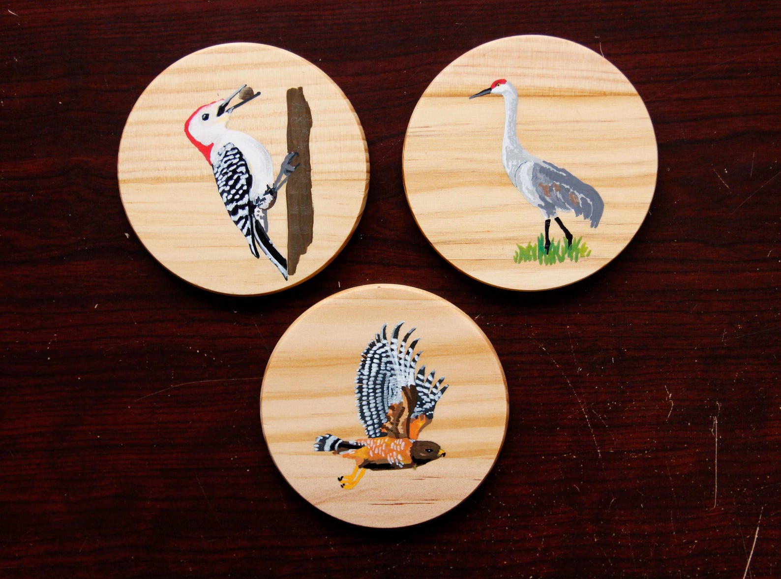 Hand-painted Bird Coaster Set: Custom Acrylic Wood Coasters - Etsy
