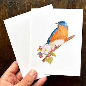 Set di 8 biglietti d'auguri con uccellini azzurri / Biglietti d'auguri con uccellini acquerellati / Biglietti d'auguri per tutte le occasioni