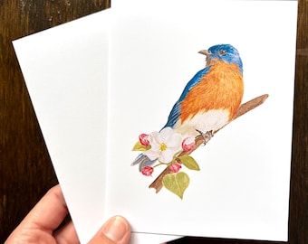Bluebird Watercolor Notecards Set: All Occasion Bird Art