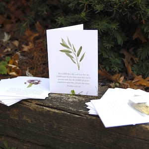 May include: White greeting cards with botanical illustrations and scriptural text. One card features a sprig of green leaves, while others display floral designs. The cards are arranged on a weathered wooden surface, with natural foliage in the background.