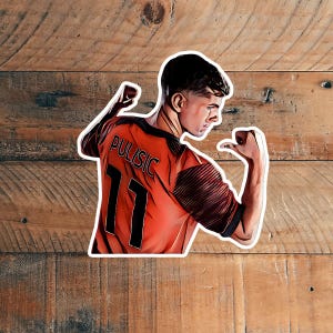 Pegatinas de vinilo ilustradas de fútbol con dibujos realistas