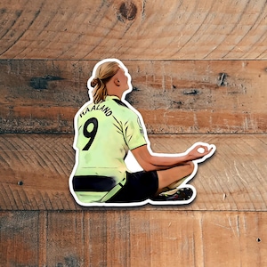 Illustration realistic cartoon soccer Football vinyl glossy matte stickers