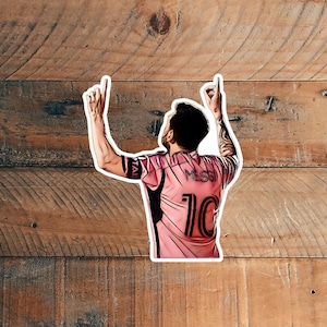 Illustrated realistic cartoon Argentina futbol soccer vinyl stickers