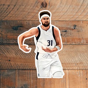 Pegatinas de vinilo ilustradas con dibujos realistas de baloncesto