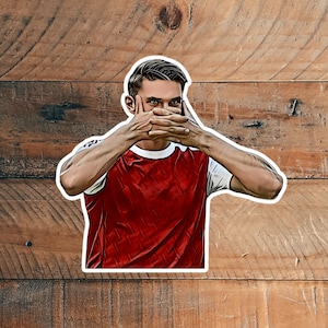 Illustration realistic cartoon style vinyl soccer Football glossy matte stickers