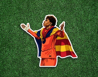 Illustration realistic cartoon Spanish football soccer vinyl stickers