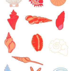 Sea Treasures Print
