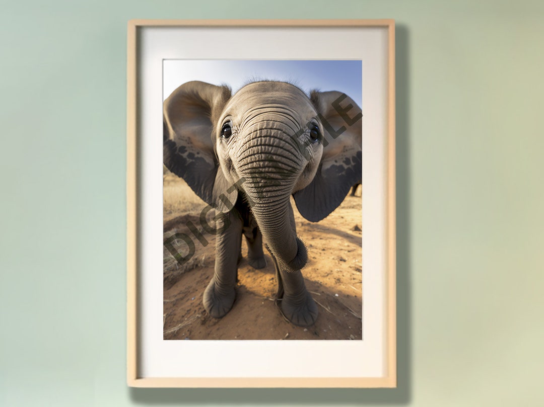 Baby Elephant Printable Wall Art, Nursery Wall Decor, Baby Animal Print ...