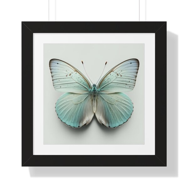 Butterfly Collection, #6, Square, Series, Framed Poster, Digital, Wall Art, Print, Theme, Style, Home