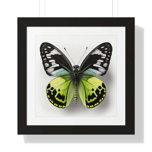 Butterfly Collection, #1, Square, Series, Framed Poster, Digital, Wall Art, Print, Theme, Style, Home