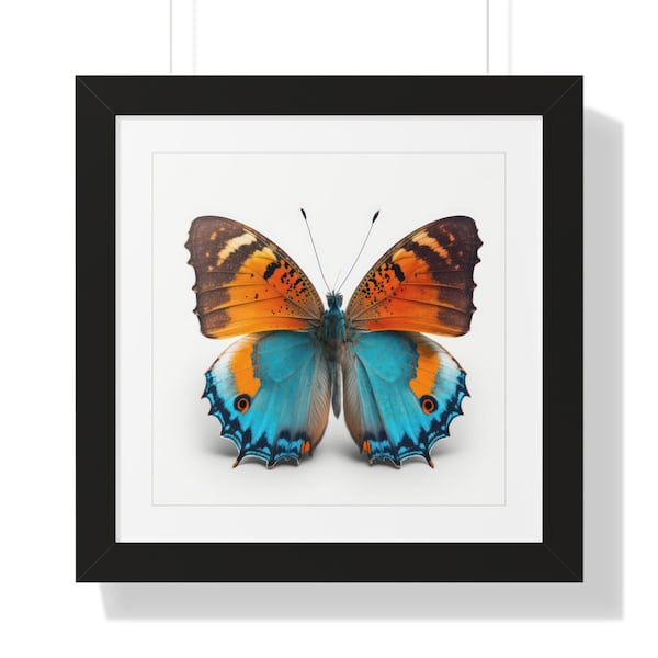 Butterfly Collection, #8, Square, Series, Framed Poster, Digital, Wall Art, Print, Theme, Style, Home