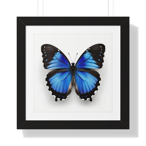 Butterfly Collection, #10, Square, Series, Framed Poster, Digital, Wall Art, Print, Theme, Style, Home