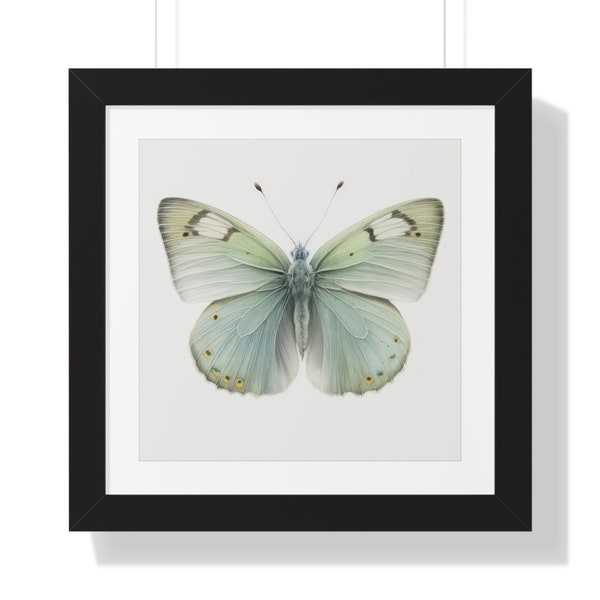 Butterfly Collection, #4, Square, Series, Framed Poster, Digital, Wall Art, Print, Theme, Style, Home