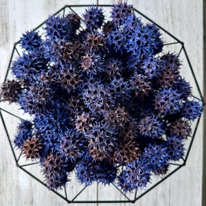 Blue Painted Sweet Gum Balls: Nature Craft Supplies - Vase Filler