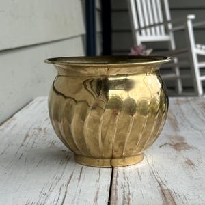 May include: A polished brass planter featuring a rounded, bulbous body with vertical fluted detailing and a wide, smooth rim. The metallic surface reflects light, highlighting the curved texture and the warm, golden tone of the brass material.