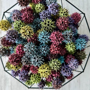 25 Multicolored Painted Sweet Gum Balls: Nature Craft Supplies
