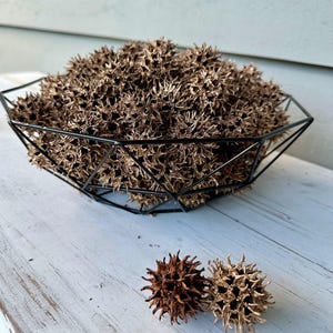 Gold Painted Sweet Gum Balls: Nature Craft Supplies, Vase Filler - 25 Piece