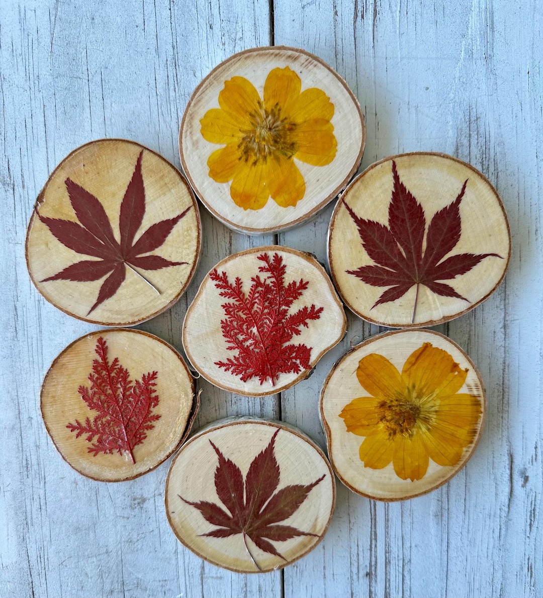 Pressed Leaf Magnet - Fall Leaf Wood Slice Magnets - Etsy
