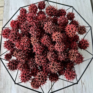 Red Painted Sweet Gum Balls: Nature Crafts, Vase Filler (25 count, 3/4-1&quot; Diameter )