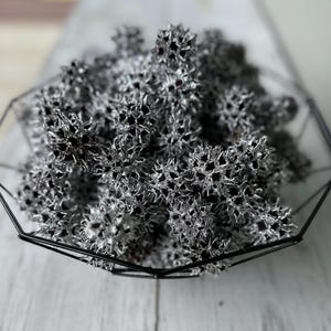 Silver Painted Sweet Gum Balls - 25 Nature Craft Supplies - Vase Filler