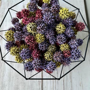 Painted Sweet Gum Balls: Lavender, Yellow, Pink - 25 Nature Craft Supplies