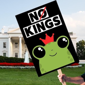 May include: A black sign with the words "NO KINGS" in white, with a red line through "NO". A cartoon frog wearing a red crown is at the bottom. The sign is held in front of the White House.