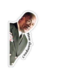 West Wing Sticker Fitz Shampoo, Political West Wing Fan Gift, Election, Democratic, Whats Next, American TV Show, Jed Bartlet