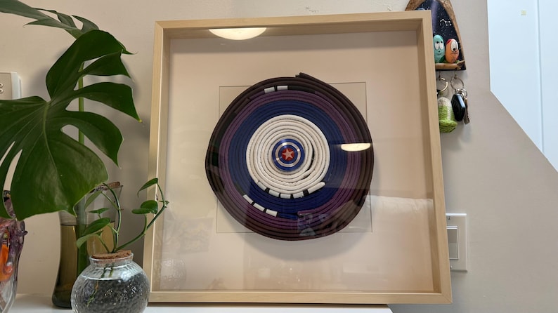 May include: Framed artwork featuring a circular design with concentric layers of dark brown, purple, blue, and white. A red star is at the center. The artwork is displayed in a light wood frame.