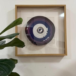 May include: A framed artwork featuring concentric circles in shades of purple, blue, and white. The artwork is encased in a light brown wooden frame and mounted on a white background. The artwork has the text "RENZO GRACIE" on it.