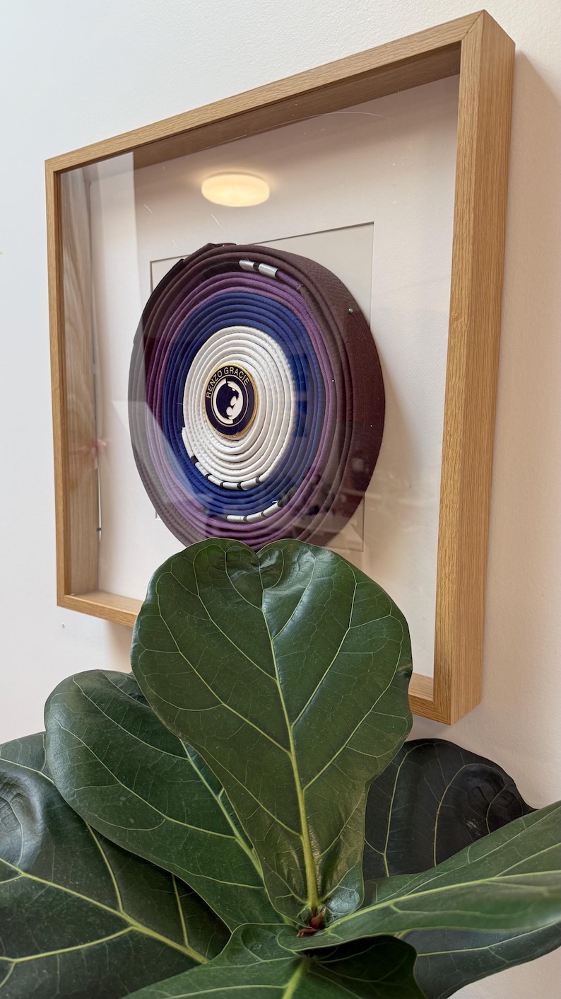 May include: A framed martial arts belt display. The belt is rolled up in a circular shape, showcasing various colors including white, purple, and brown. The frame is made of light-colored wood, and the background is a neutral color.