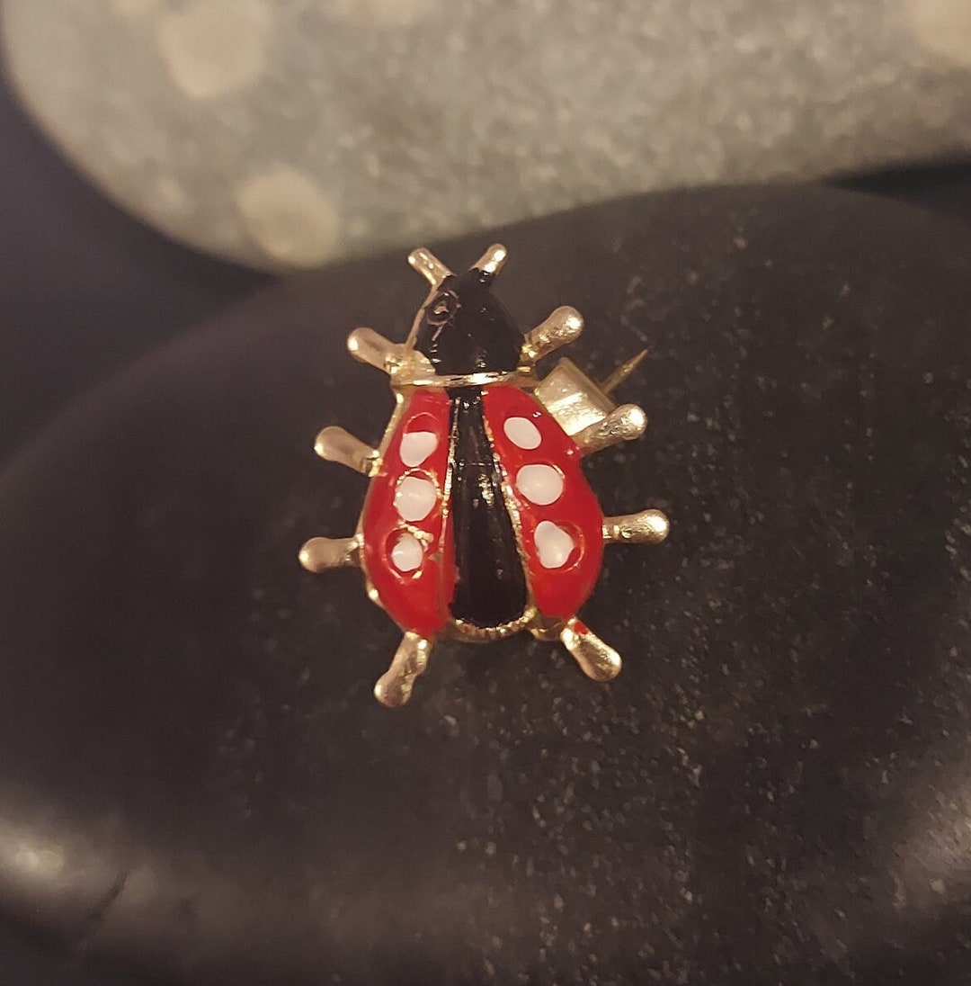 Broche Coccinelle - Il était une fois Broche Coccinelle - Il était une fois