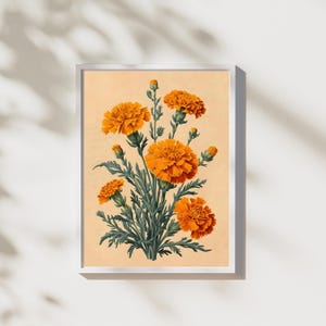 Vintage-print-wallart Vintage Print Botanical Wallart Floral-vintage Print Vintage-floral Wallart Print Decorative-vintage Wall Art Marigold