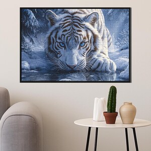 May include: A white tiger with blue eyes stares intently at the viewer. The tiger is lying in a pool of water with a snowy background.