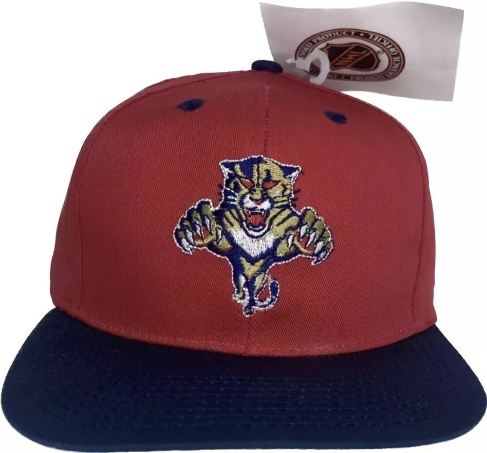 Vintage Florida Panthers Hat - Etsy